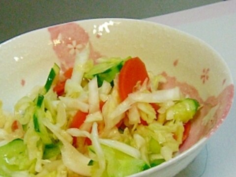 サラダ代わりに、三色野菜の甘酢漬け